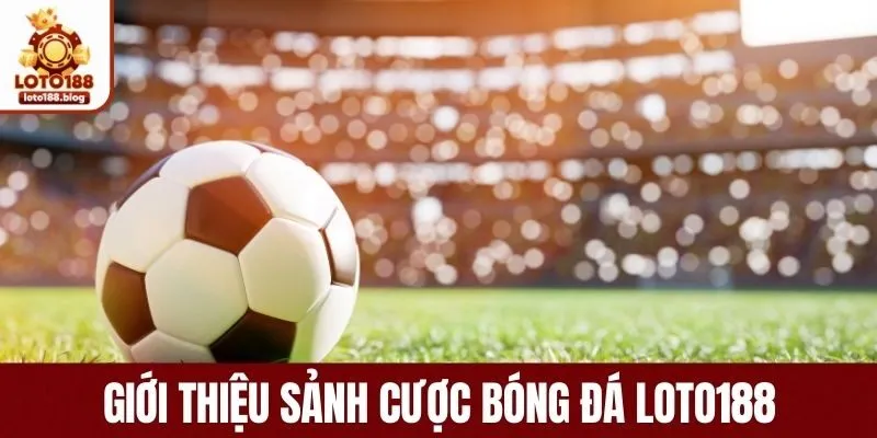 Giới thiệu sảnh cược bóng đá LOTO188