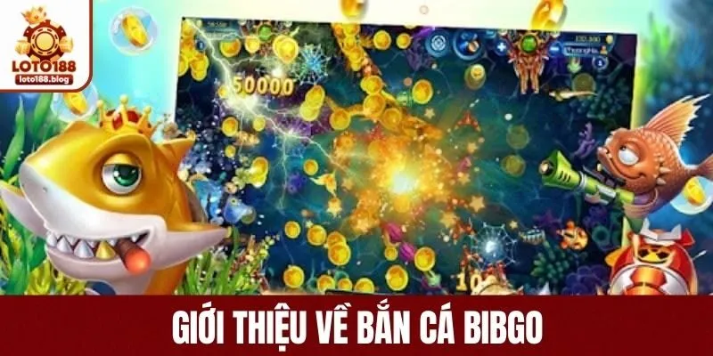 Đôi nét về bắn cá Bingo tại LOTO188